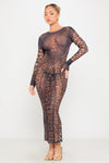 Leopard Print Sheer Long Sleeve Maxi Dress