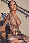 Brown Printed Plunge Tie Front Maxi Dress
