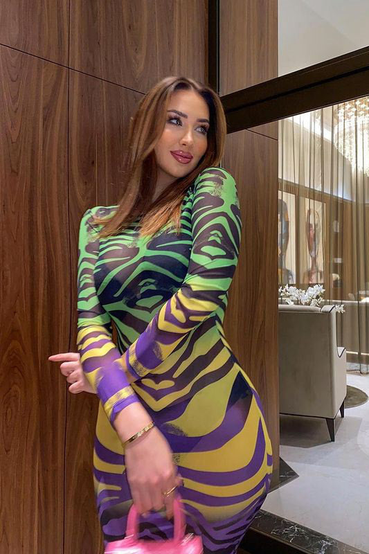 Multi Zebra Print Sheer Mesh Long Sleeve Midi Dress