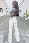 Zebra Print Mesh Bustier Long Sleeve Crop Top