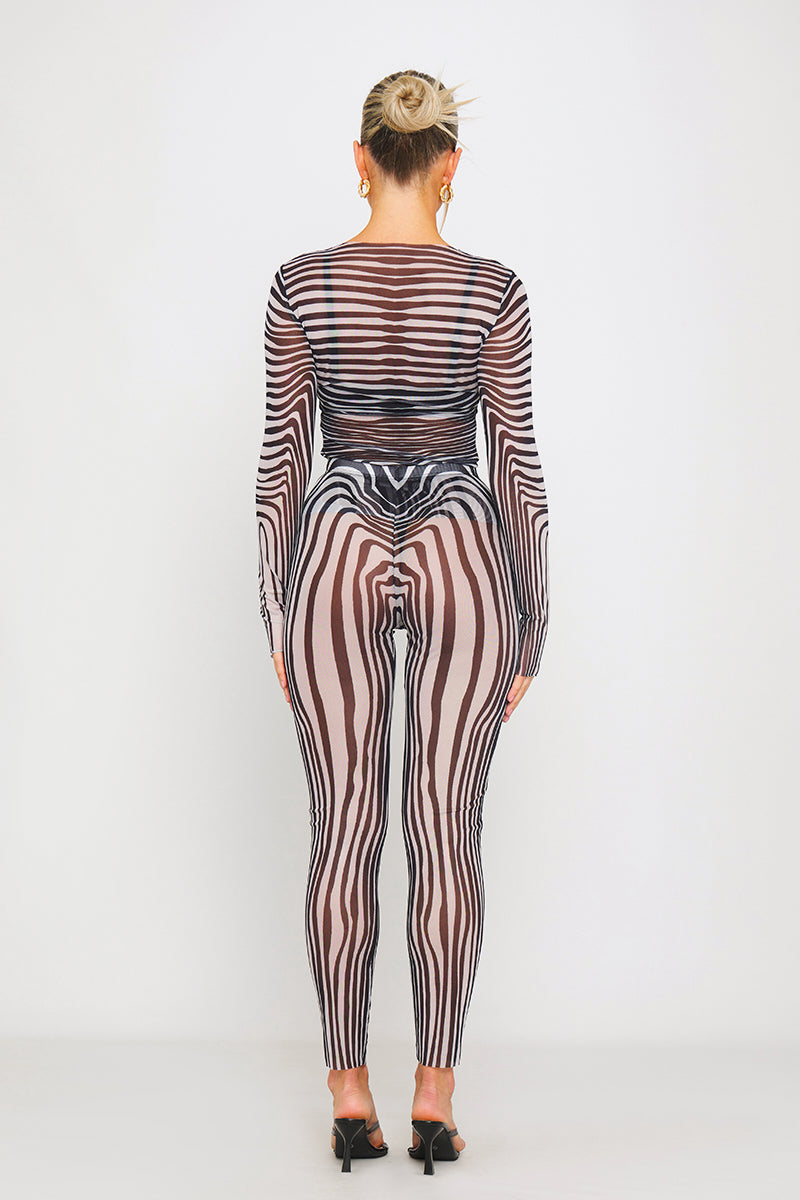 Zebra Print Sheer Mesh Long Sleeve Top & Leggings Co-Ord
